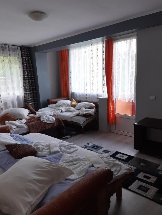 Vila Muntii Bucegi & Spa Bran  Exterior foto