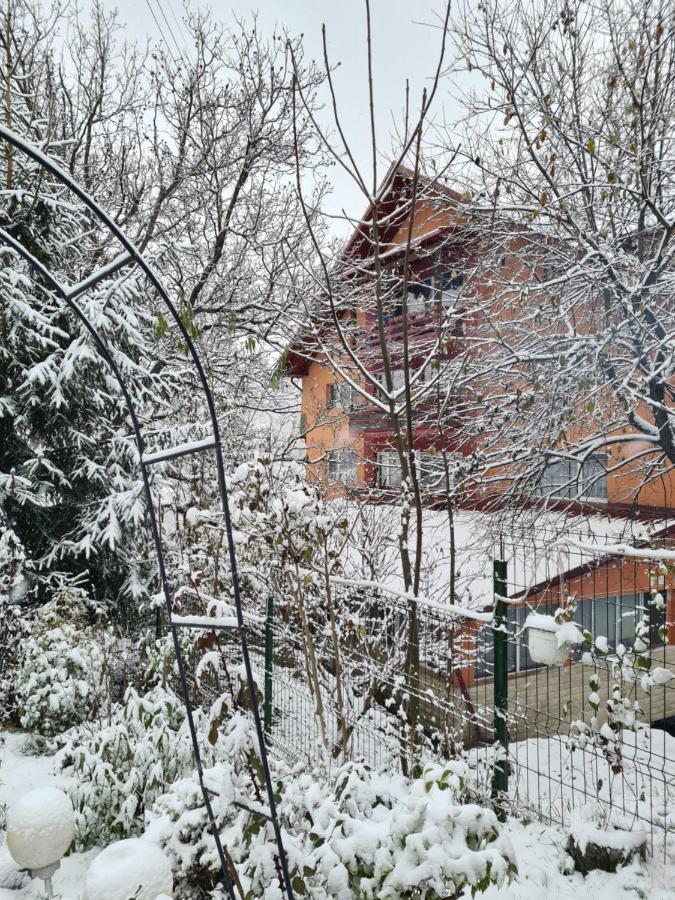 Vila Muntii Bucegi & Spa Bran  Exterior foto