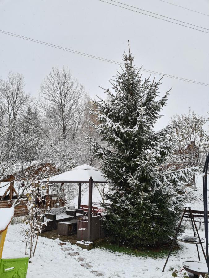 Vila Muntii Bucegi & Spa Bran  Exterior foto