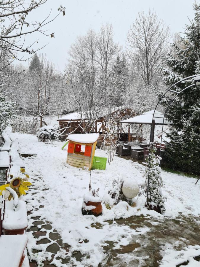 Vila Muntii Bucegi & Spa Bran  Exterior foto