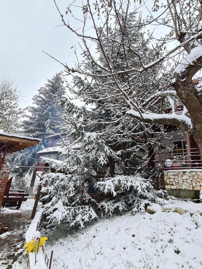 Vila Muntii Bucegi & Spa Bran  Exterior foto