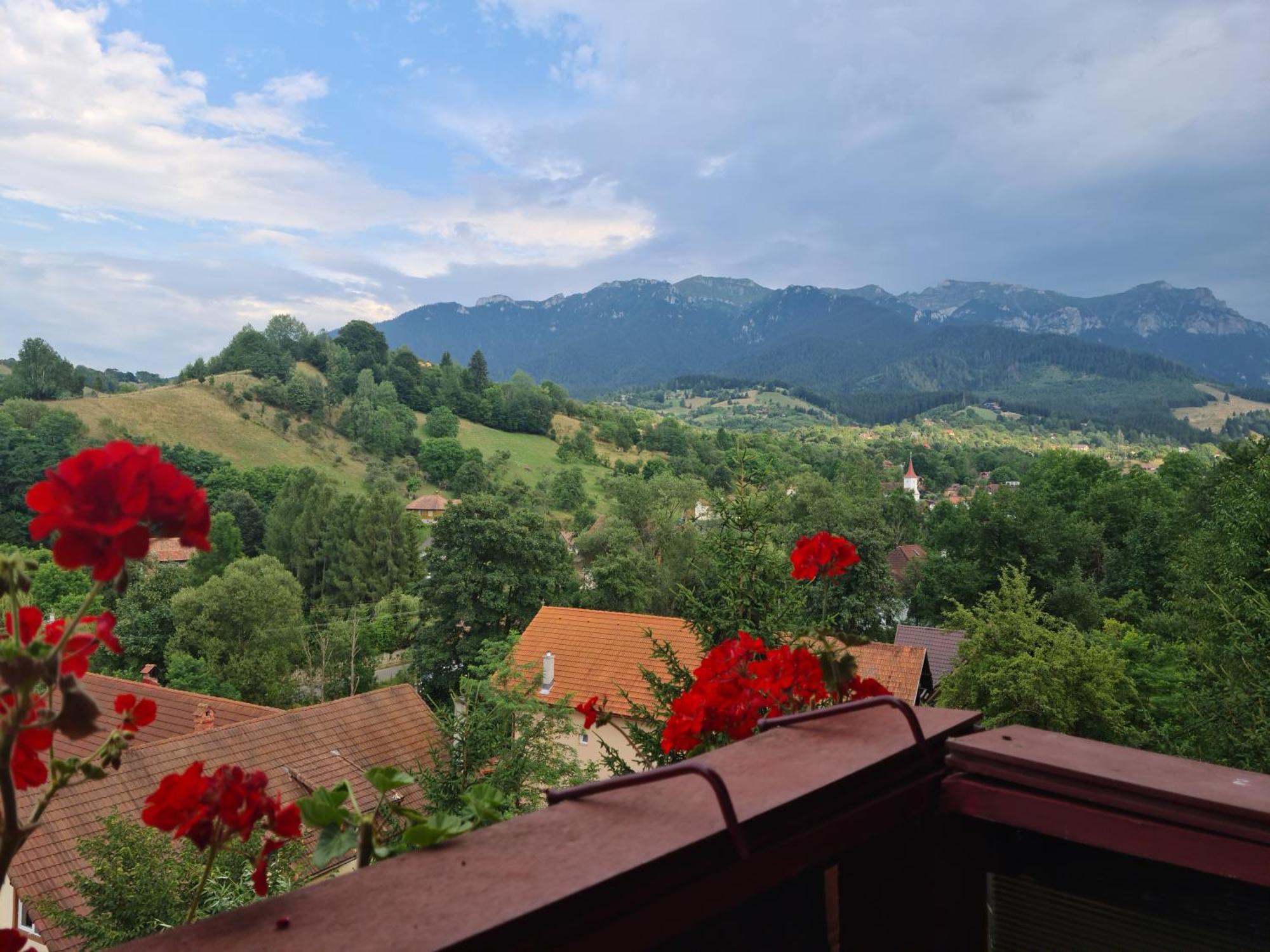 Vila Muntii Bucegi & Spa Bran  Exterior foto