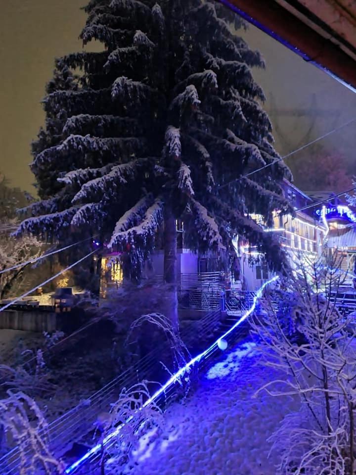 Vila Muntii Bucegi & Spa Bran  Exterior foto